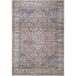 Abani Rugs Lola LOL170A Vintage Contemporary Creamy Gray Blue 4 ft. x 6 ft. Area Rug