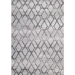 Nova Grey 4 ft. x 6 ft. Distressed Polyester Area Rug by Abani