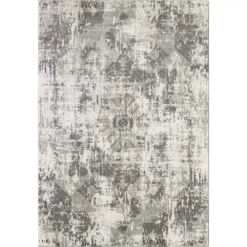 Urbana Grey 3 ft. x 5 ft. Distressed Polypropylene Area Rug by Abani